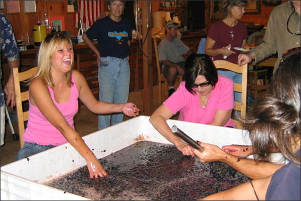 MoniClaire Vineyards