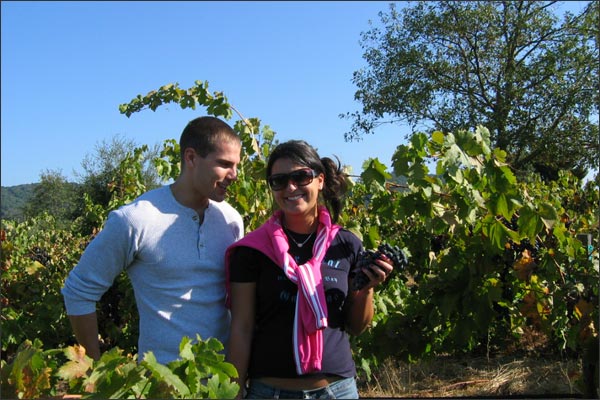 MoniClaire Vineyards